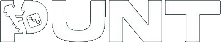 Punt Casino logo